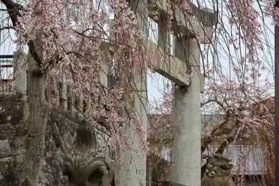 安達太良神社の鳥居