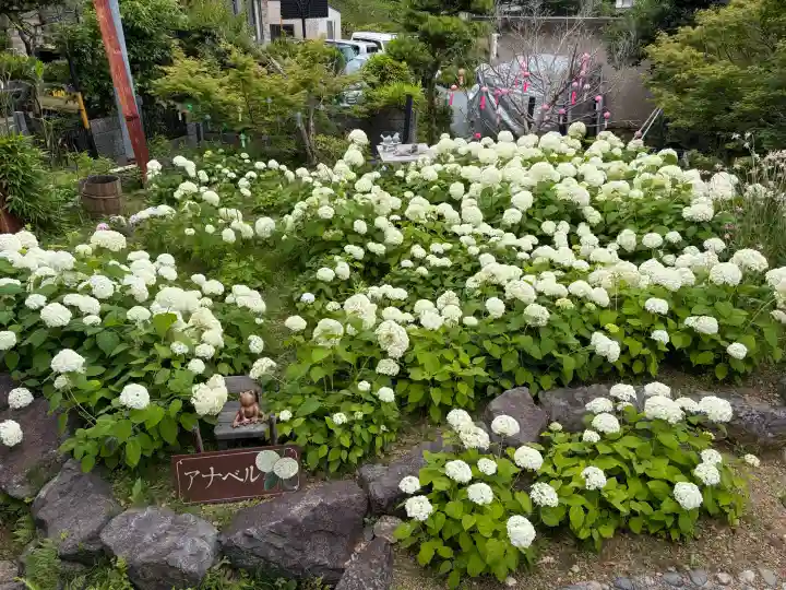 秋葉總本殿可睡斎(静岡県)