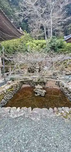 明石寺の{uncategorized: "未分類", other: "その他", undefined: "問題あり", building: "その他建物", grave: "お墓", sacred_gate: "鳥居", guardian: "狛犬", statue: "像", buddha: "仏像", history: "歴史", nature: "自然", garden: "庭園", animal: "動物", pagoda: "塔", temizu: "手水舎", mountain_gate: "山門・神門", sanctuary: "本殿・本堂", subordinate: "末社・摂社", art: "芸術", scenery: "景色", jizo: "地蔵", ema: "絵馬", goshuin: "御朱印", omikuji: "おみくじ", items: "授与品その他", amulet: "お守り", goshuincho: "御朱印帳", eats: "食事", festival: "お祭り", votive_dance: "神楽", shichigosan: "七五三参", wedding: "結婚式", experience: "体験その他", initially: "初詣", around: "周辺", anti_infection: "感染症対策"}