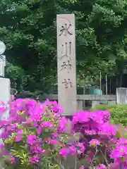 渋谷氷川神社(東京都)