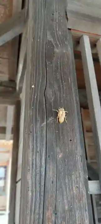 武田廣神社(山梨県)