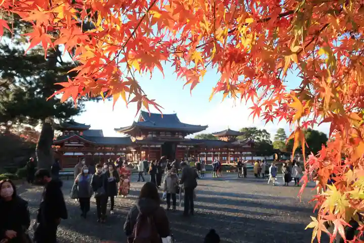 平等院のその他建物