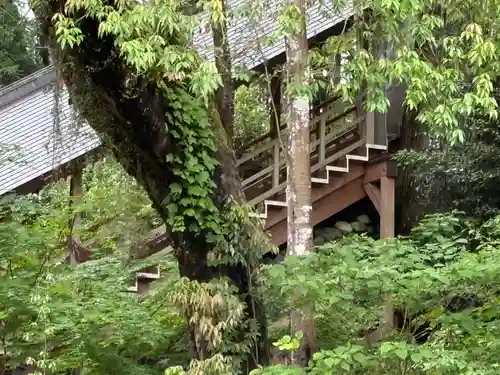 丹生川上神社（下社）(奈良県)