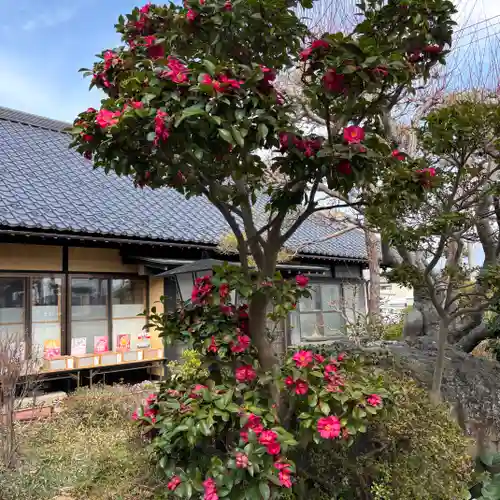 豊景神社(福島県)