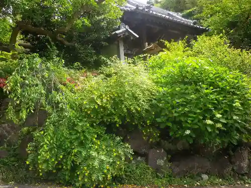 覚園寺の庭園