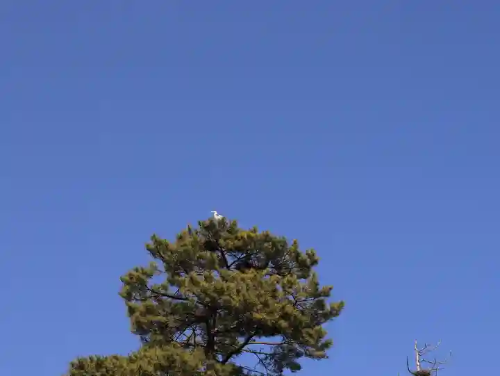 松江神社(島根県)