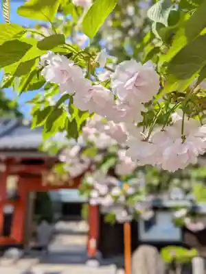 愛染院(東京都)
