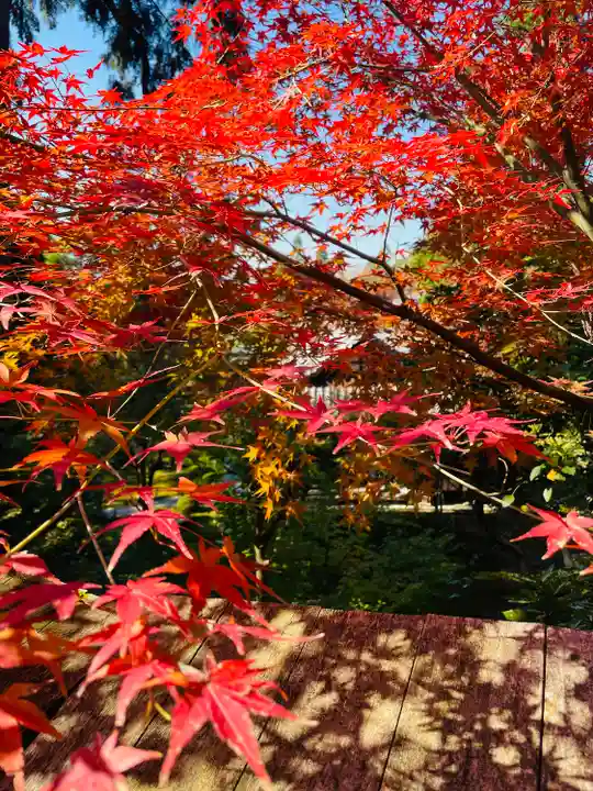 即宗院(京都府)