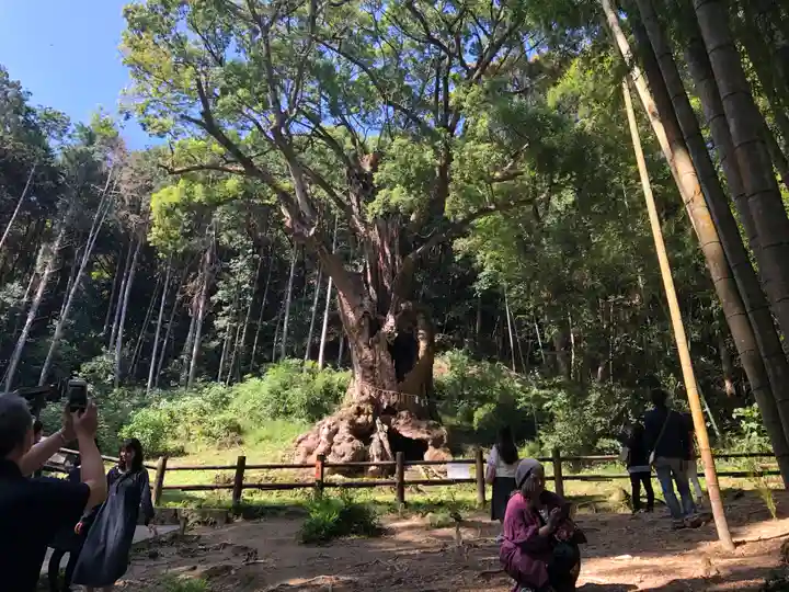 武雄神社(佐賀県)