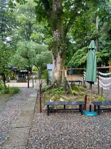 小御門神社(千葉県)