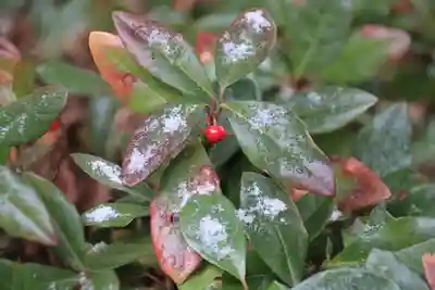 菅船神社の自然