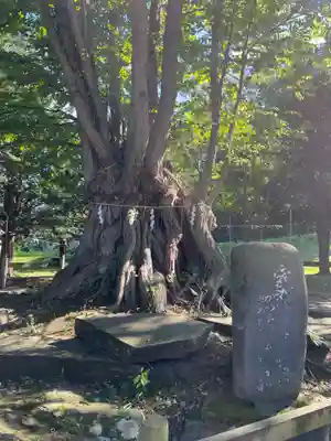 美幌神社(北海道)