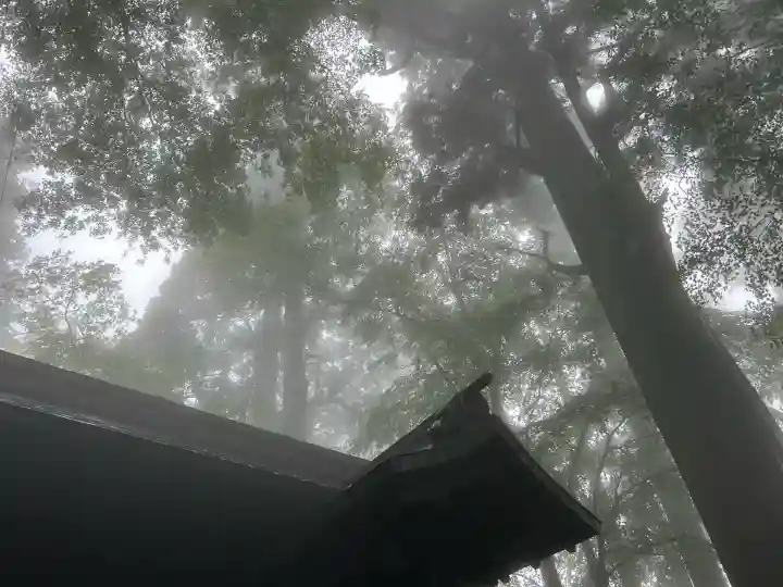 愛宕神社(京都府)