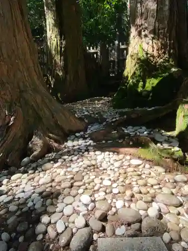 玉置神社(奈良県)