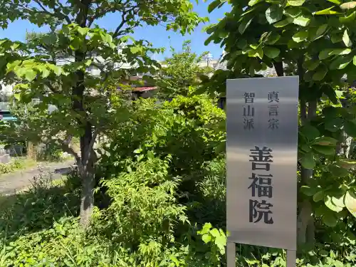 善福院の{uncategorized: "未分類", other: "その他", undefined: "問題あり", building: "その他建物", grave: "お墓", sacred_gate: "鳥居", guardian: "狛犬", statue: "像", buddha: "仏像", history: "歴史", nature: "自然", garden: "庭園", animal: "動物", pagoda: "塔", temizu: "手水舎", mountain_gate: "山門・神門", sanctuary: "本殿・本堂", subordinate: "末社・摂社", art: "芸術", scenery: "景色", jizo: "地蔵", ema: "絵馬", goshuin: "御朱印", omikuji: "おみくじ", items: "授与品その他", amulet: "お守り", goshuincho: "御朱印帳", eats: "食事", festival: "お祭り", votive_dance: "神楽", shichigosan: "七五三参", wedding: "結婚式", experience: "体験その他", initially: "初詣", around: "周辺", anti_infection: "感染症対策"}
