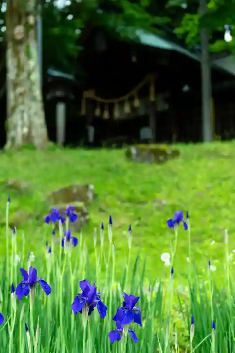諏訪大社上社前宮(長野県)