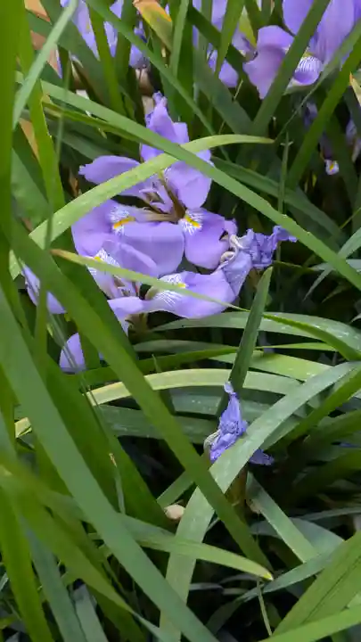 大雲寺(大阪府)