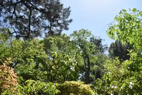 平安神宮の庭園