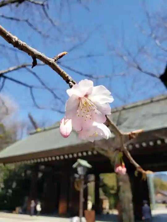 靖國神社(東京都)