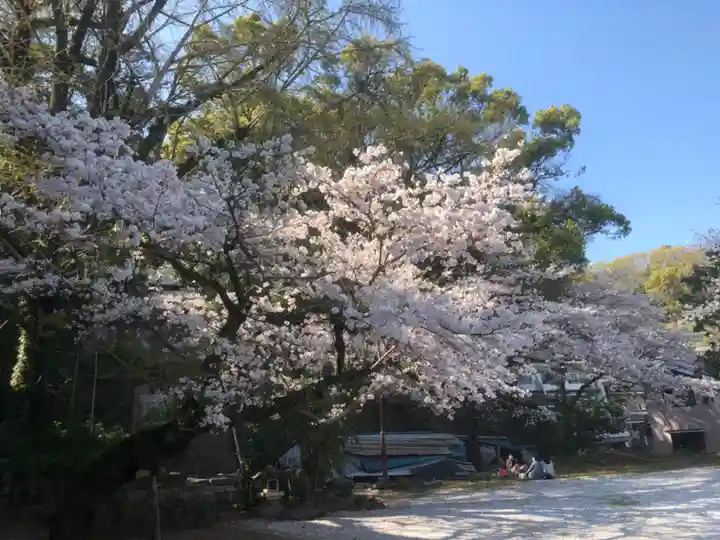 和霊神社の自然