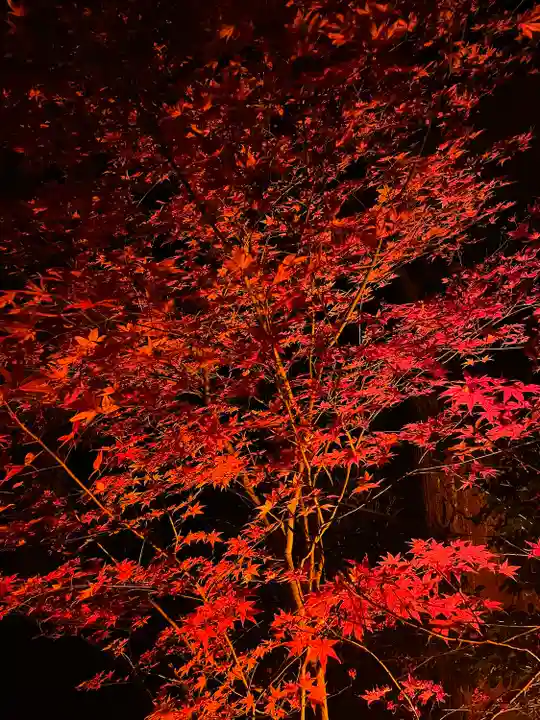 尊永寺(静岡県)