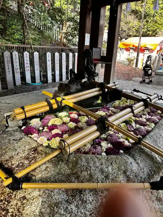 近江神宮の{uncategorized: "未分類", other: "その他", undefined: "問題あり", building: "その他建物", grave: "お墓", sacred_gate: "鳥居", guardian: "狛犬", statue: "像", buddha: "仏像", history: "歴史", nature: "自然", garden: "庭園", animal: "動物", pagoda: "塔", temizu: "手水舎", mountain_gate: "山門・神門", sanctuary: "本殿・本堂", subordinate: "末社・摂社", art: "芸術", scenery: "景色", jizo: "地蔵", ema: "絵馬", goshuin: "御朱印", omikuji: "おみくじ", items: "授与品その他", amulet: "お守り", goshuincho: "御朱印帳", eats: "食事", festival: "お祭り", votive_dance: "神楽", shichigosan: "七五三参", wedding: "結婚式", experience: "体験その他", initially: "初詣", around: "周辺", anti_infection: "感染症対策"}