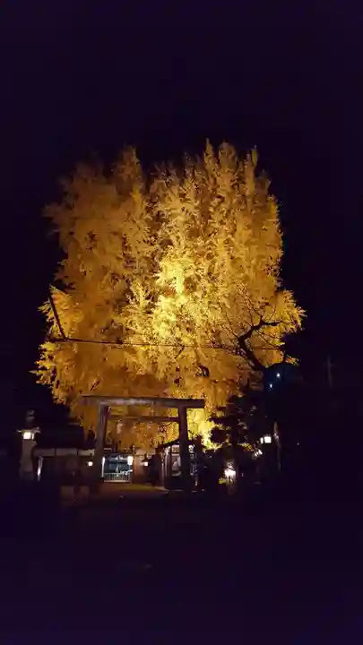 丹生酒殿神社のその他建物