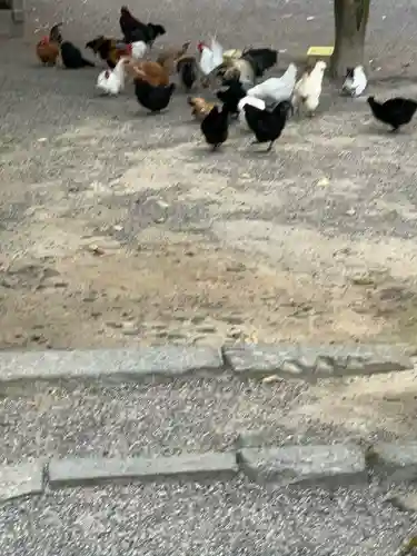 石上神宮(奈良県)