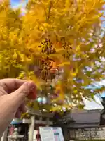 瀧宮神社(広島県)