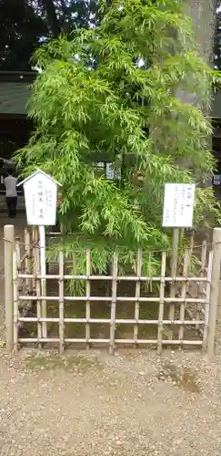 一言主神社の庭園