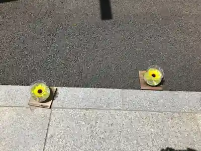 日蓮宗　浄運寺(東京都)