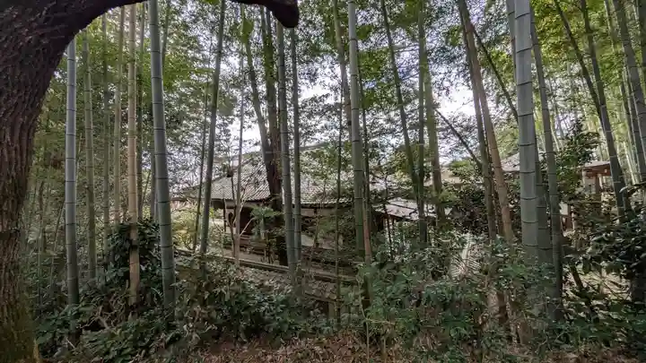 花園天皇 十樂院上陵(京都府)