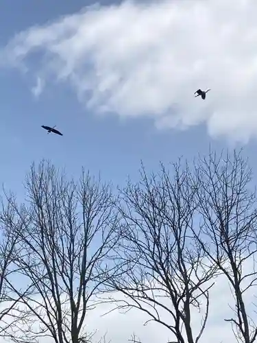 長沼神社の周辺