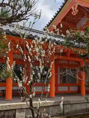 蓮華王院（三十三間堂）(京都府)