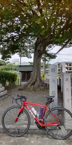 楠木神社(大阪府)