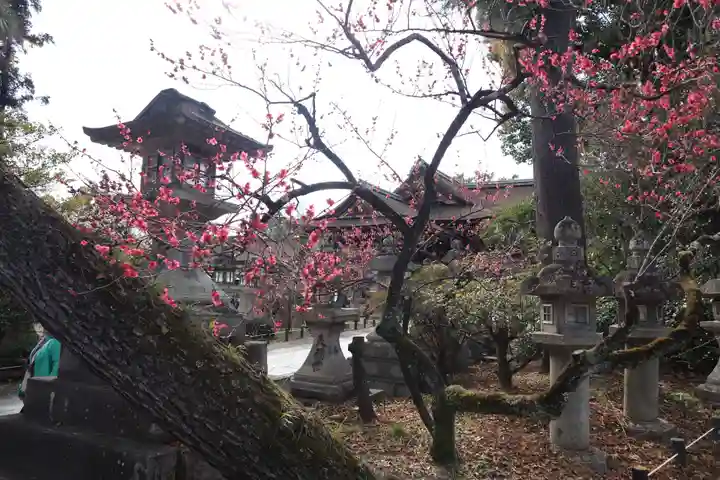 北野天満宮(京都府)
