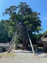 玉若酢命神社(島根県)