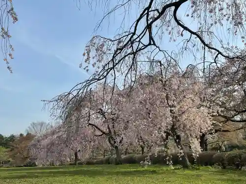 葛葉稲荷神社の自然