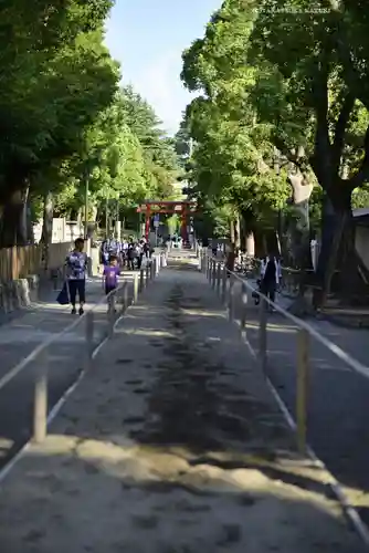 鶴岡八幡宮(神奈川県)