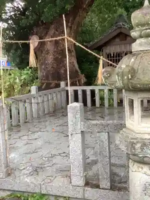大社神社のその他建物