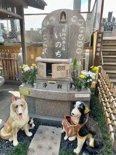 光胤山 大野本光寺のお墓