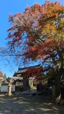 三鈷寺(京都府)