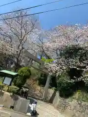 田の首八幡宮の鳥居