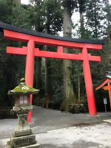 箱根神社の鳥居