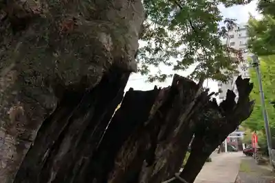 阿邪訶根神社の鳥居