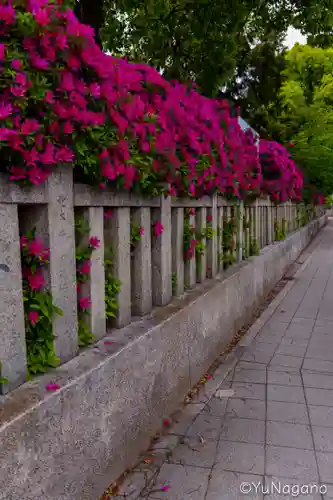 野見神社(大阪府)