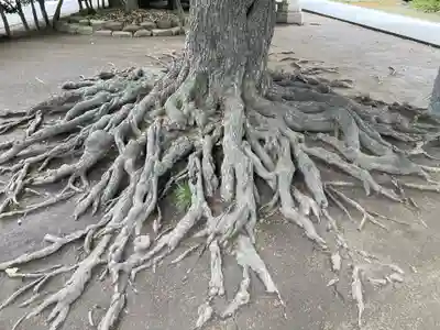薭田神社(東京都)