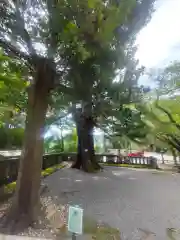 伊豆山神社(静岡県)