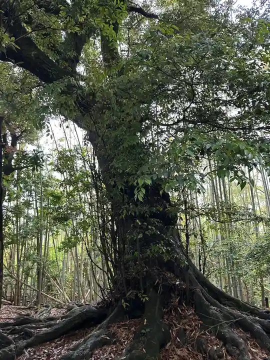 法庭神社本宮(兵庫県)