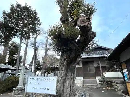 小島八劔神社(三重県)